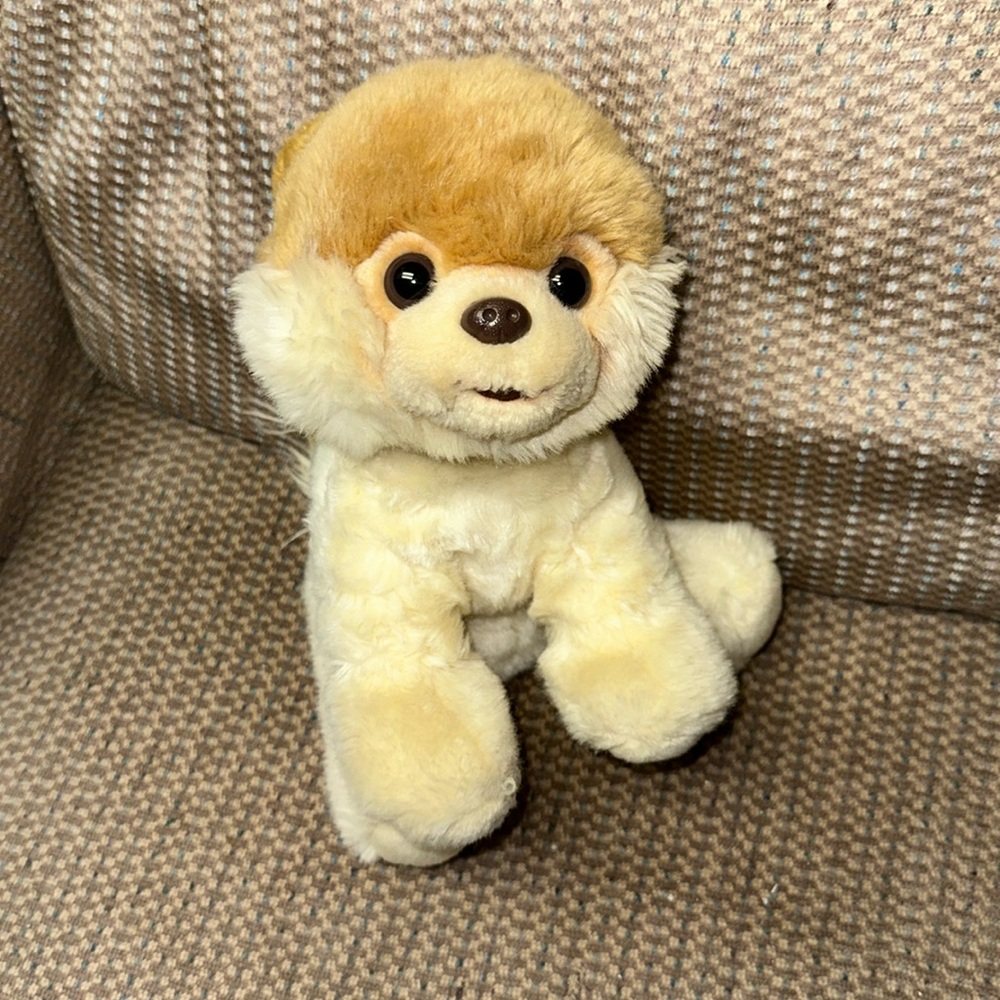 Boo dog